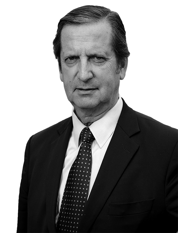 Empresas Socovesa Vicente Domínguez Vial